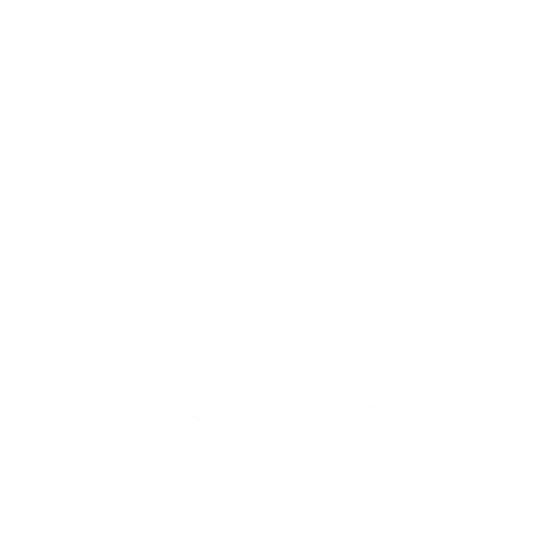 RESET Logo